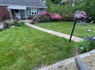 Annette O.'s grass maintenance service result