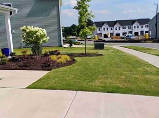 Debbie M.'s lawn service service result