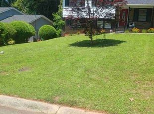 Steven S.'s lawn care services service result