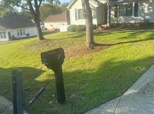 Dwight S.'s lawn care services service result