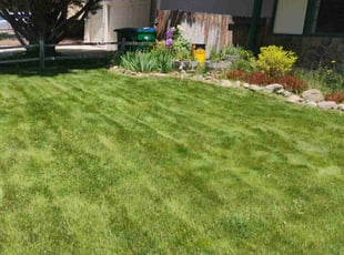 Thrash J.'s lawn care services service result