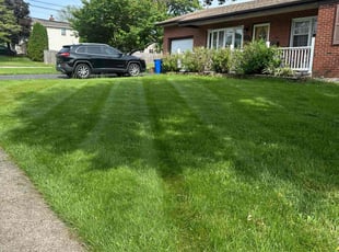 Margaret R.'s grass cutting service result
