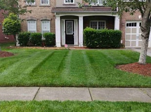 Andria T.'s grass cutting service result