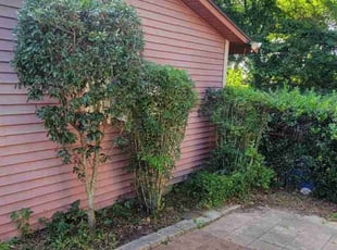 Joshua W.'s Bush Trimming service result