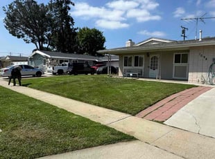 Donna H.'s Lawn Mowing service result