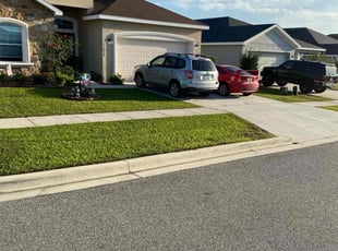 Nancy V.'s grass cutting service result