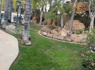 Estelle F.'s lawn care services service result