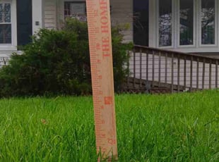 Christopher L.'s grass maintenance service result