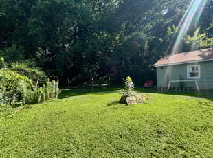 Franco T.'s lawn care service result