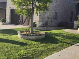 Damon R.'s landscaping service result