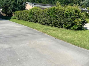 Bruce W.'s turf care service result