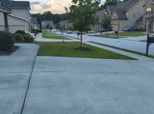 Monica S.'s grass maintenance service result