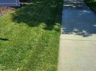 Bruce G.'s turf care service result