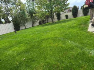 Chance P.'s turf maintenance service result