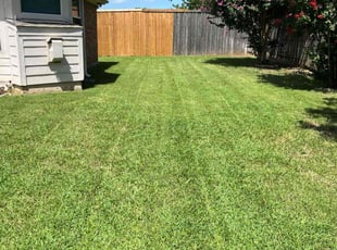 Cameron B.'s lawn maintenance service result