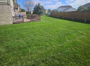 Ashley S.'s grass cutting service result