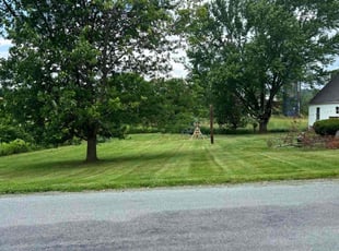 Jennifer V.'s turf maintenance service result
