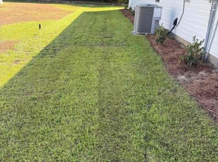 Kevin M.'s lawn maintenance service result