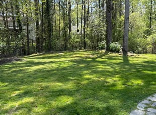 Audrea M.'s lawn service service result