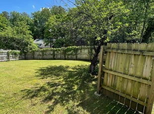 Terry B.'s lawn maintenance service result