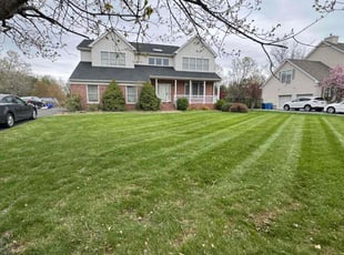 Sheila V.'s turf maintenance service result