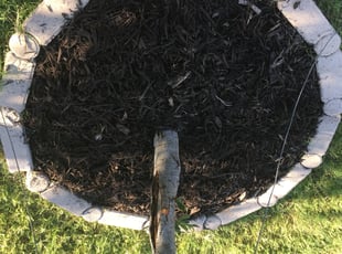 Justin S.'s Flower Bed Weeding service result