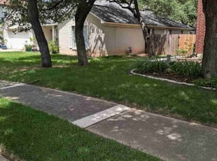 Debra C.'s lawn care services service result
