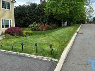 David D.'s lawn service service result