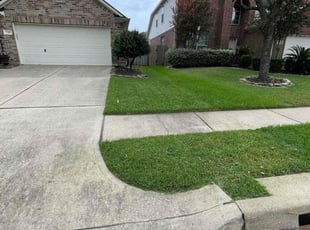 Waliy S.'s grass cutting service result