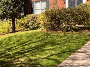 Mary B.'s lawn maintenance service result