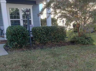 Rod P.'s lawn care service result