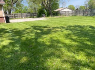 Crystal A.'s lawn maintenance service result