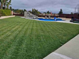 Tonja R.'s turf maintenance service result