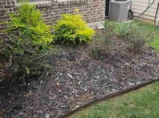 Ravneel G.'s Flower Bed Weeding service result