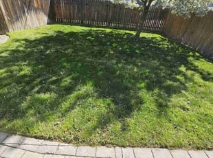 Mary K.'s grass cutting service result