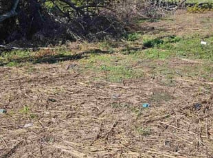 Stanley R.'s lawn care service result