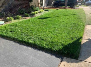 Monica S.'s turf maintenance service result
