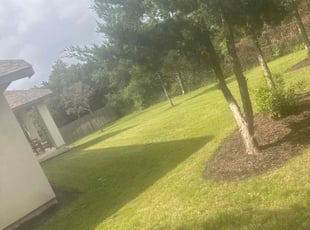 Brian S.'s lawn service service result