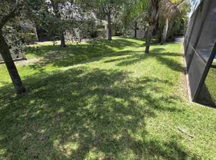 Mark P.'s lawn service service result