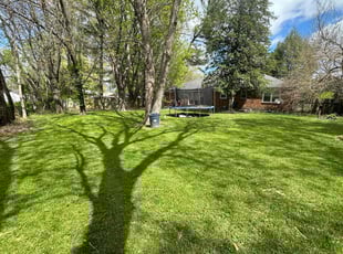 Robert M.'s turf care service result