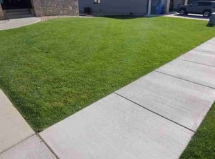 Cameron S.'s lawn care services service result