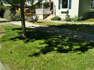 Shawn G.'s turf maintenance service result