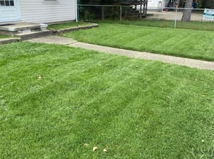Alexis B.'s lawn maintenance service result