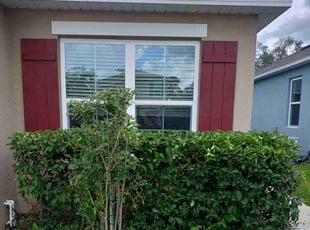 Tim H.'s Bush Trimming service result