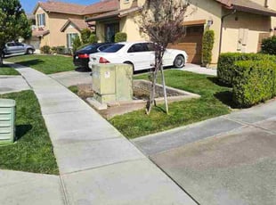 Donna R.'s lawn care service result