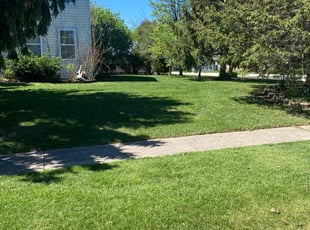 Lindsy A.'s grass maintenance service result