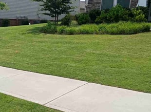 David S.'s lawn maintenance service result