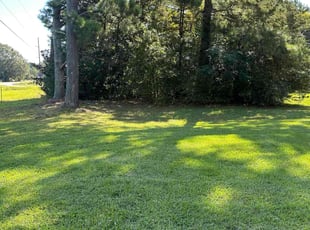 Dave G.'s lawn care services service result