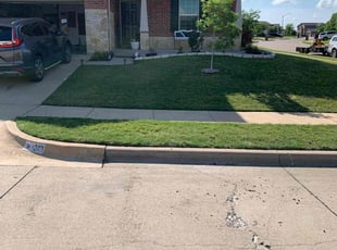 Teresa M.'s yard maintenance service result