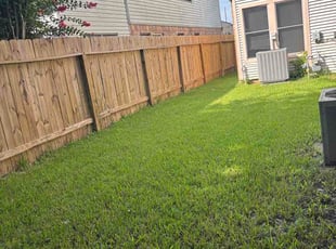 Jamison J.'s turf care service result